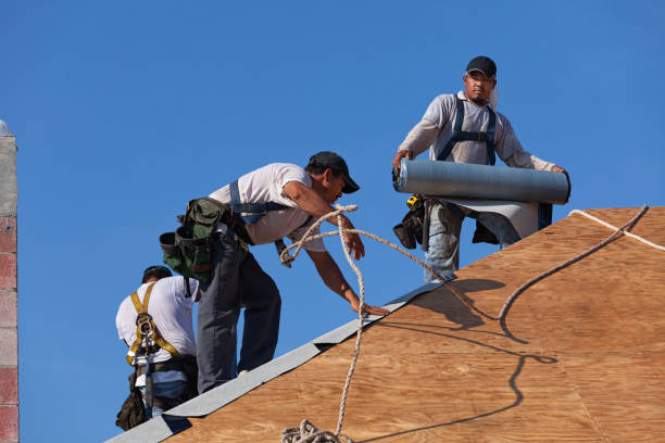 Best Roof Gutter Cleaning  in Pinewood Estates, TX